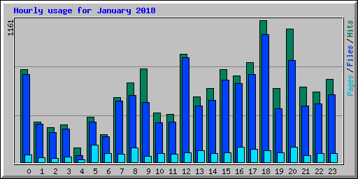 Hourly usage for January 2018